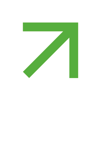 Riser Consulting